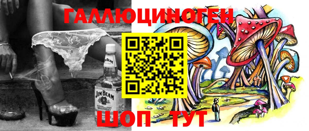 Галлюциногенные грибы Psilocybe  Вход с VPN  Гусев  Псилоцибиновые грибы GOLDEN TEACHER 